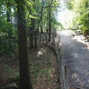 Arctic fox exhibit and walkway, 2023-09-26