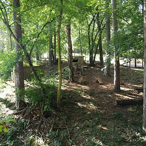 Arctic fox exhibit, 2023-09-26