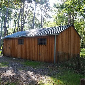 New Eurasian grey wolf holding barn, 2023-09-26