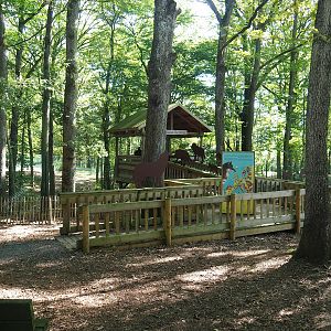 Eurasian grey wolf viewing area, 2023-09-26