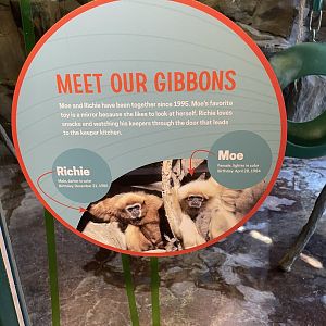 Example of New Signage #1 (10/22/23)