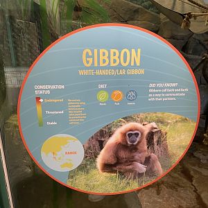 Example of New Signage #4 (10/22/23)