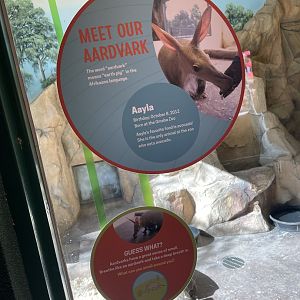 Aardvark Signage