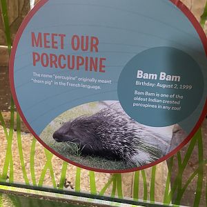 Indian Crested Porcupine Signage