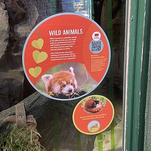 Red Panda Signage #2