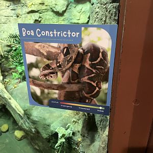 NEW Boa Constrictor Exhibit Signage