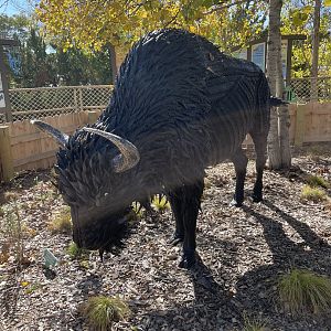 Beefcake Memoriam Statue (10/22/23)