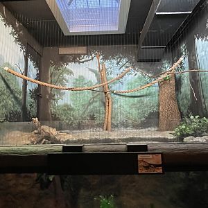 Former Turaco Exhibit (10/22/23)