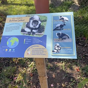 New Black-and-White Ruffed Lemur Signage
