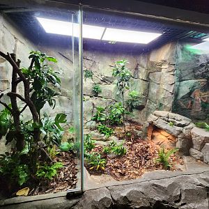 Relandscaped exhibits (Reptopia)