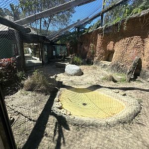 Oct. 2023 - (Adult) Komodo Dragon Enclosure