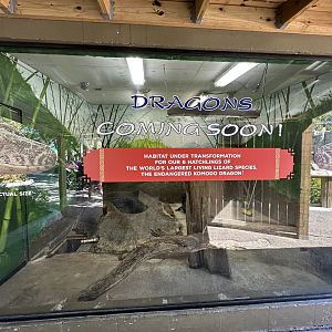 Oct. 2023 - Indoor Komodo Dragon Enclosure