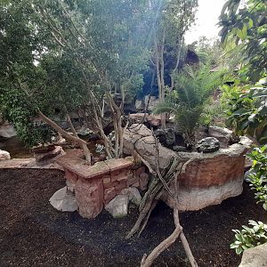 Binturong and Malayan Tapir - enclosure