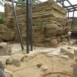 Prairie Dog/Burrowing Owl Exhibit
