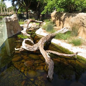 Native Reptile Exhibit