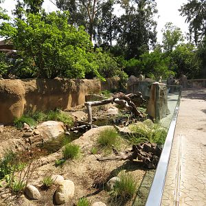Native Reptile Exhibit