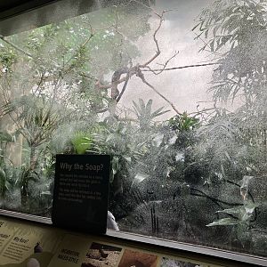 World of Birds - Maleo Exhibit