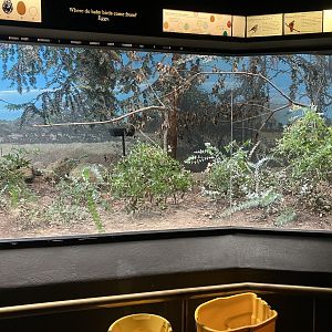 World of Birds - Exhibit Three