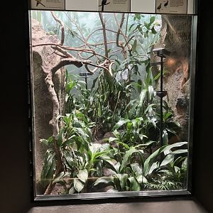World of Birds - Exhibit Four