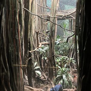 World of Birds - Exhibit Seven