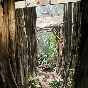 World of Birds - Exhibit Eight