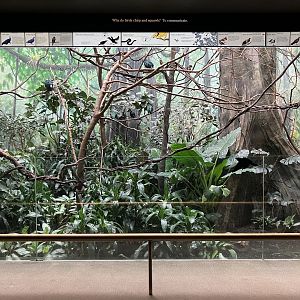 World of Birds - Exhibit Nine
