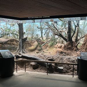 World of Birds - Exhibit Ten