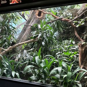 World of Birds - Exhibit Eleven