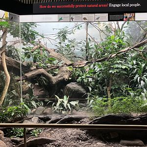World of Birds - Kagu Exhibit