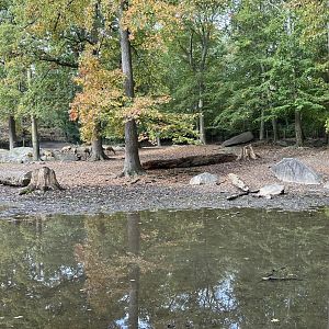 Père David’s Deer Exhibit
