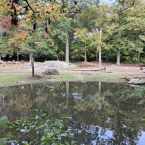 Père David’s Deer Exhibit