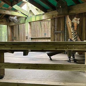 Tiger Mountain - Viewing Shelter