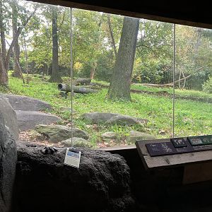 Tiger Mountain - Mainland Tiger Exhibit
