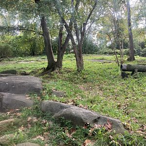 Tiger Mountain - Mainland Tiger Exhibit