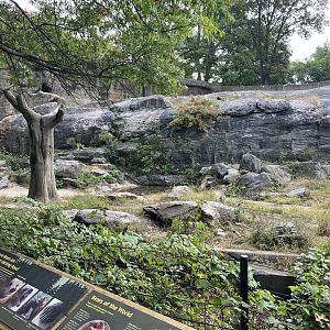 Grizzly Bear/Sitka Brown Bear Exhibit