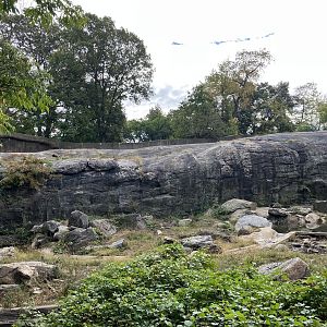 Grizzly Bear/Sitka Brown Bear Exhibit