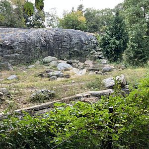 Grizzly Bear/Sitka Brown Bear Exhibit