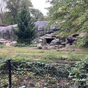 Grizzly Bear/Sitka Brown Bear Exhibit