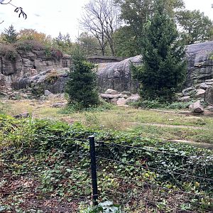 Grizzly Bear/Sitka Brown Bear Exhibit