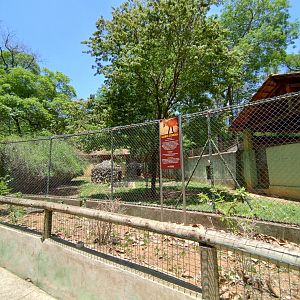 Maned wolf exhibit I  - Belo Horizonte zoo