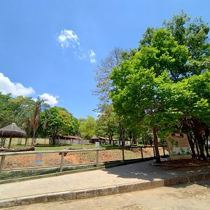 Cerrado biome exhibit  - Belo Horizonte zoo