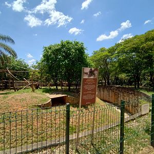 Wooly monkey exhibit  - Belo Horizonte zoo