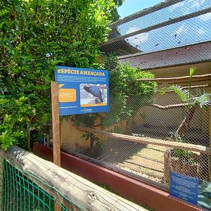 Alagoas curassow exhibit  - Belo Horizonte zoo