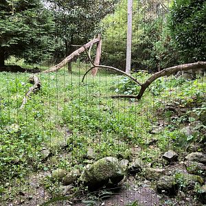 Himalayan Highlands - Snow Leopard Exhibit #1