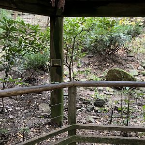 Himalayan Highlands - Snow Leopard Exhibit #3