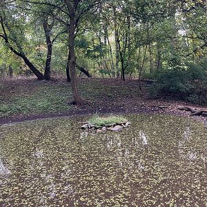 Himalayan Highlands - White-Naped Crane Exhibit
