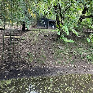 Himalayan Highlands - White-Naped Crane Exhibit