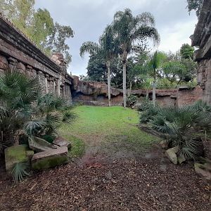 Sumatran Tiger - enclosure