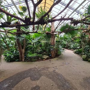 Entrance to "Amazon" hall