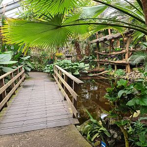 Bridge in "Amazon" hall